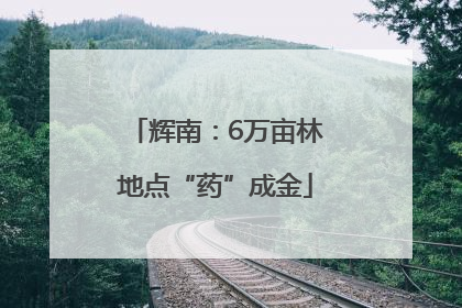 辉南：6万亩林地点“药”成金