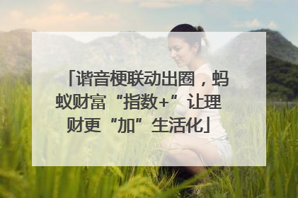 谐音梗联动出圈，蚂蚁财富“指数+”让理财更“加”生活化