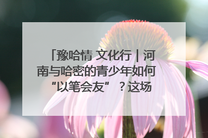 豫哈情 文化行｜河南与哈密的青少年如何 “以笔会友”？这场书画展藏着答案