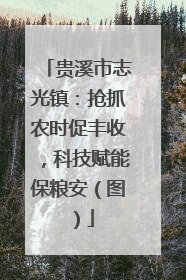 贵溪市志光镇：抢抓农时促丰收，科技赋能保粮安（图）