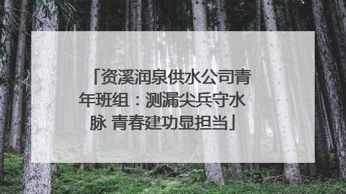资溪润泉供水公司青年班组：测漏尖兵守水脉 青春建功显担当