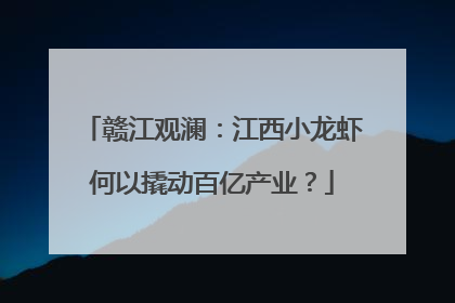 赣江观澜：江西小龙虾何以撬动百亿产业？