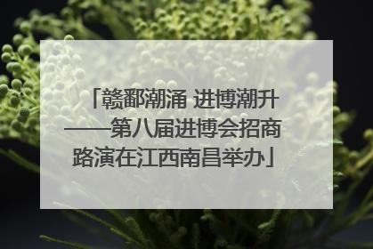赣鄱潮涌 进博潮升——第八届进博会招商路演在江西南昌举办