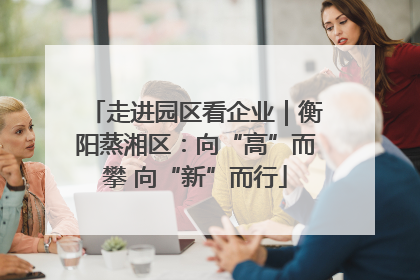 走进园区看企业｜衡阳蒸湘区：向“高”而攀 向“新”而行