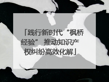 践行新时代“枫桥经验” 推动知识产权纠纷高效化解