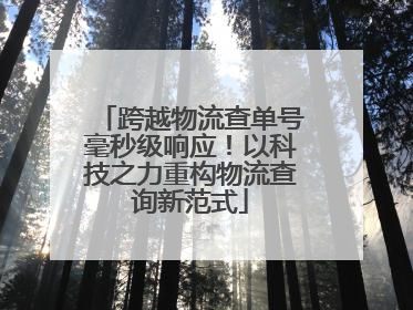 跨越物流查单号毫秒级响应！以科技之力重构物流查询新范式