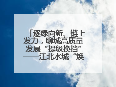 逐绿向新、链上发力，聊城高质量发展“提级换挡”——江北水城“焕新”记