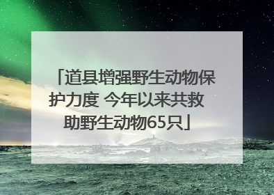 道县增强野生动物保护力度 今年以来共救助野生动物65只