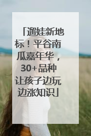 遛娃新地标！平谷南瓜嘉年华，30+品种让孩子边玩边涨知识