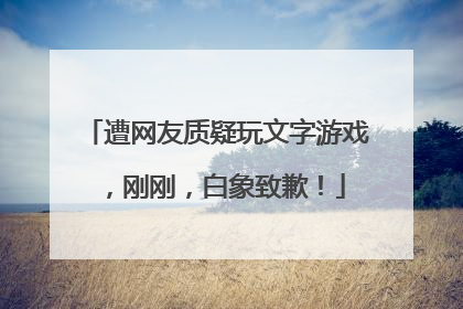 遭网友质疑玩文字游戏，刚刚，白象致歉！