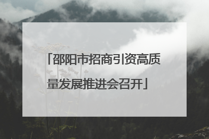 邵阳市招商引资高质量发展推进会召开