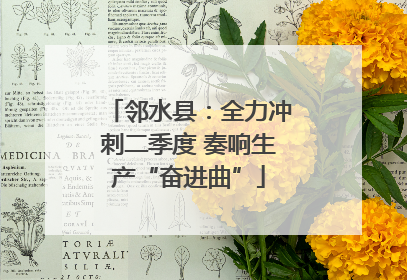 邻水县：全力冲刺二季度 奏响生产“奋进曲”