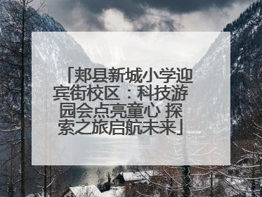 郏县新城小学迎宾街校区：科技游园会点亮童心 探索之旅启航未来