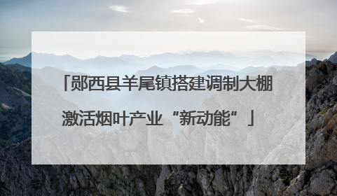 郧西县羊尾镇搭建调制大棚激活烟叶产业“新动能”