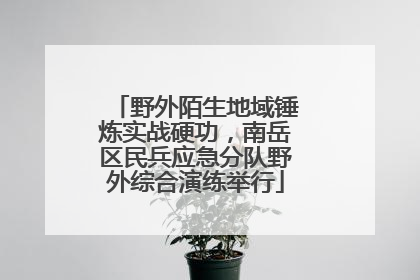 野外陌生地域锤炼实战硬功，南岳区民兵应急分队野外综合演练举行