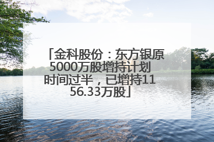 金科股份：东方银原5000万股增持计划时间过半，已增持1156.33万股