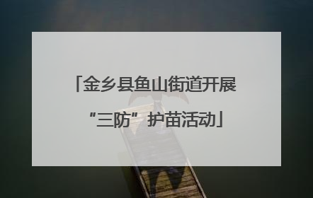 金乡县鱼山街道开展“三防”护苗活动