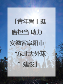 青年骨干挺膺担当 助力安徽省阜阳市“东北大外环”建设