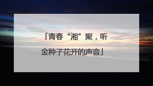 青春“湘”聚，听金种子花开的声音
