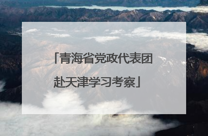 青海省党政代表团赴天津学习考察