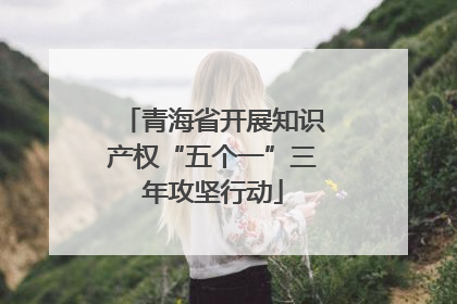 青海省开展知识产权“五个一”三年攻坚行动