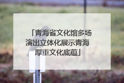 青海省文化馆多场演出立体化展示青海厚重文化底蕴
