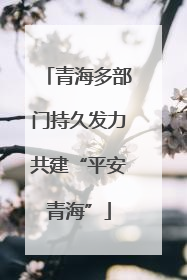 青海多部门持久发力共建“平安青海”