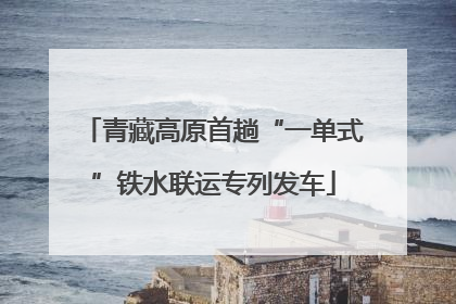 青藏高原首趟“一单式”铁水联运专列发车