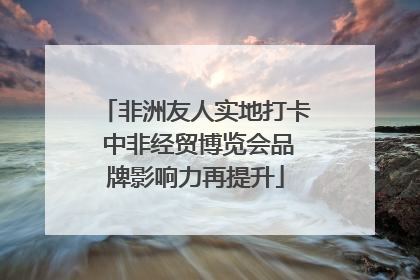 非洲友人实地打卡 中非经贸博览会品牌影响力再提升