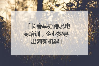 长春举办跨境电商培训，企业探寻出海新机遇