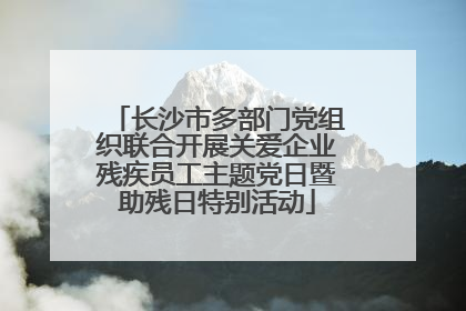 长沙市多部门党组织联合开展关爱企业残疾员工主题党日暨助残日特别活动