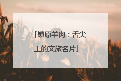 镇原羊肉：舌尖上的文旅名片