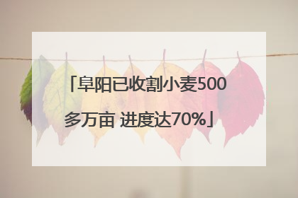 阜阳已收割小麦500多万亩 进度达70%