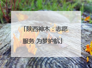 陕西神木：志愿服务 为梦护航