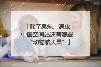 除了果蝇、涡虫，中国空间站还有哪些“动物航天员”