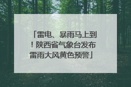 雷电、暴雨马上到！陕西省气象台发布雷雨大风黄色预警