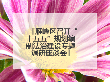 雁峰区召开“十五五”规划编制法治建设专题调研座谈会