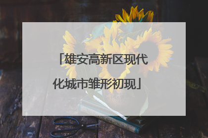雄安高新区现代化城市雏形初现