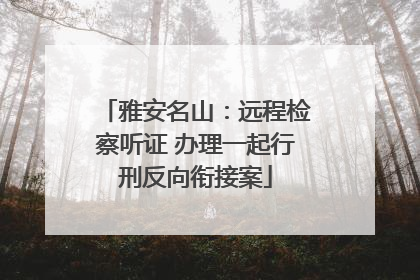 雅安名山：远程检察听证 办理一起行刑反向衔接案