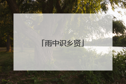 雨中识乡贤