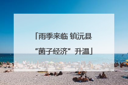雨季来临 镇沅县“菌子经济”升温