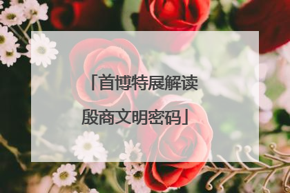 首博特展解读殷商文明密码