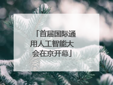 首届国际通用人工智能大会在京开幕