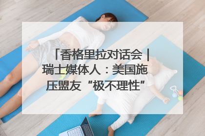 香格里拉对话会｜瑞士媒体人：美国施压盟友“极不理性” 欧洲国家无意与中国“脱钩断链”