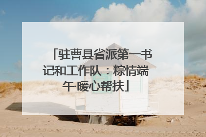 驻曹县省派第一书记和工作队：粽情端午·暖心帮扶