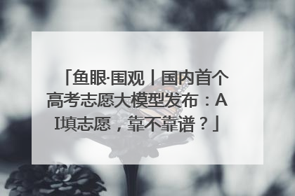 鱼眼·围观丨国内首个高考志愿大模型发布：AI填志愿，靠不靠谱？