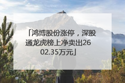 鸿博股份涨停，深股通龙虎榜上净卖出2602.35万元
