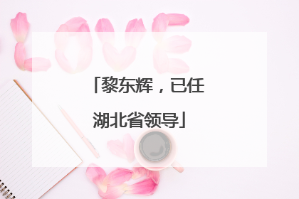 黎东辉，已任湖北省领导