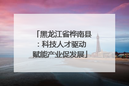 黑龙江省桦南县：科技人才驱动 赋能产业促发展