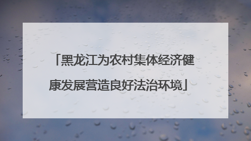 黑龙江为农村集体经济健康发展营造良好法治环境